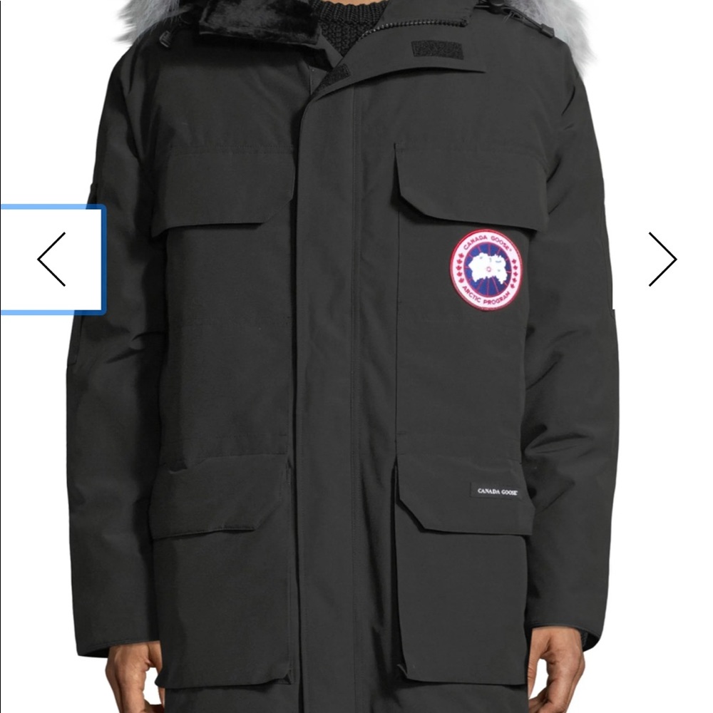 Black Canada Goose